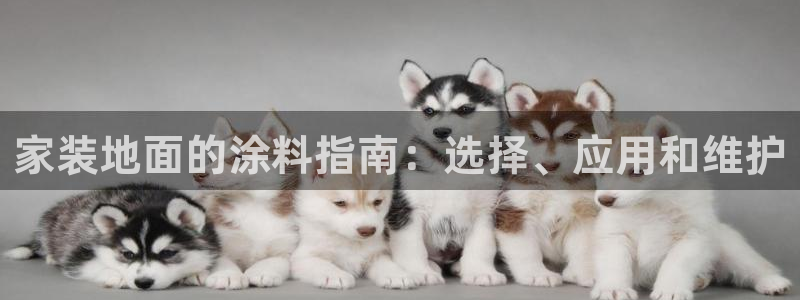 和记平台官网：家装地面的涂料指南：选择、应用和维护