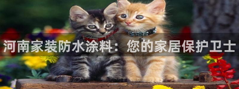 和记登陆：河南家装防水涂料：您的家居保护卫士