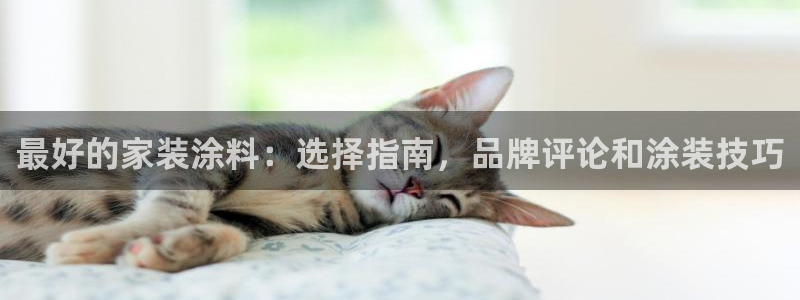 和记H88：最好的家装涂料：选择指南，品牌评论和涂装技巧