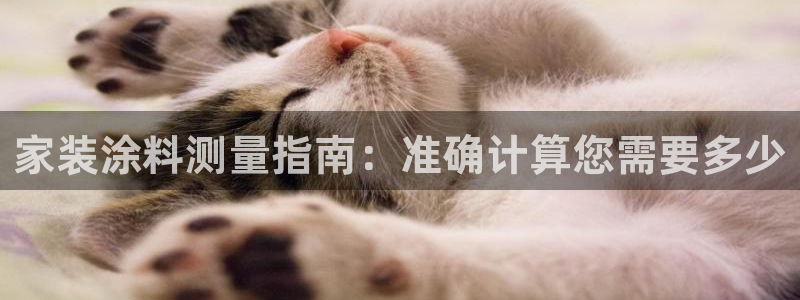 青岛大生和记餐饮管理有限公司：家装涂料测量指南：准确计算您需要多少