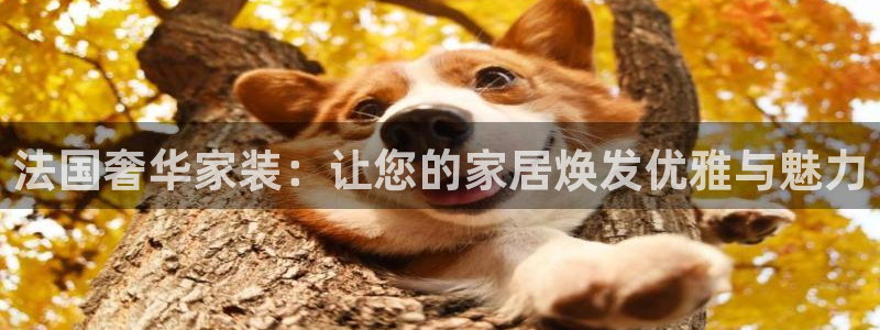 和记AG旗舰：法国奢华家装：让您的家居焕发优雅与魅力