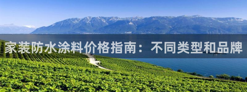 和记官网官方网站：家装防水涂料价格指南：不同类型和品牌
