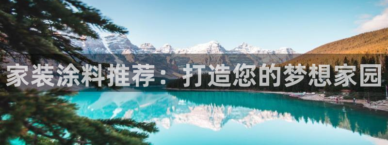 和记国际听：家装涂料推荐：打造您的梦想家园