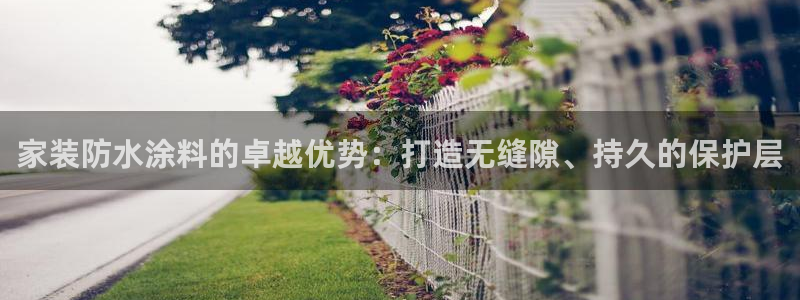 和记国际：家装防水涂料的卓越优势：打造无缝隙、持久的保护层