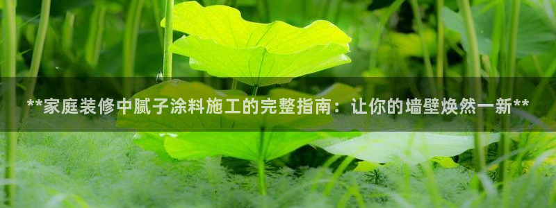 和记官网[中国]官方网站：**家庭装修中腻子涂料施工的完整指南：让你的墙壁焕然一新**