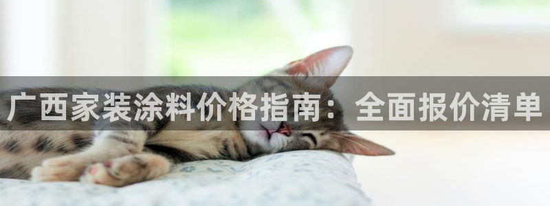 和记Ag：广西家装涂料价格指南：全面报价清单