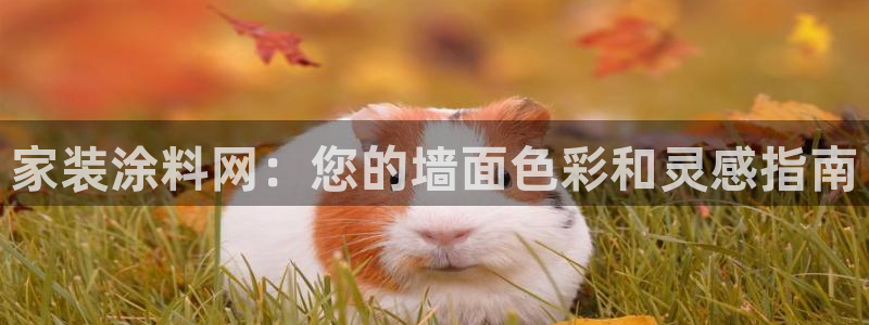 和记 首页：家装涂料网：您的墙面色彩和灵感指南