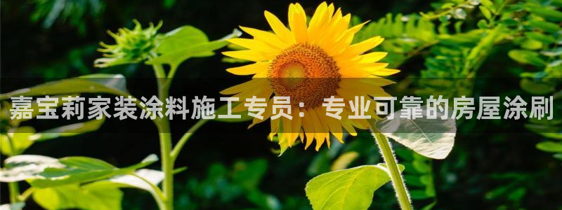 江苏和记餐饮有限公司：嘉宝莉家装涂料施工专员：专业可靠的房屋涂刷