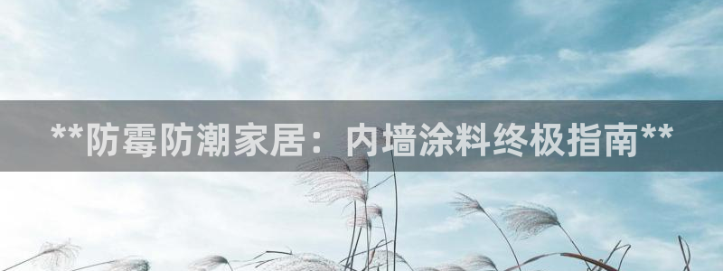和记港口：**防霉防潮家居：内墙涂料终极指南**