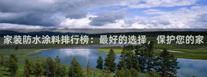 和记ag：家装防水涂料排行榜：最好的选择，保护您的家
