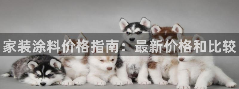 和记平台注册：家装涂料价格指南：最新价格和比较