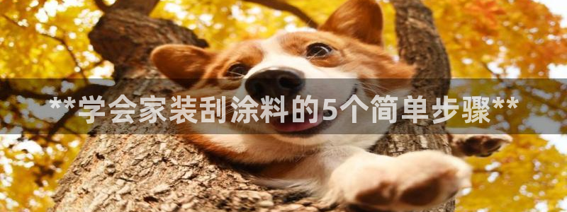 和记电业集团
