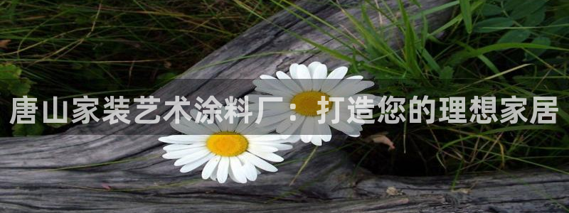 和记下载：唐山家装艺术涂料厂：打造您的理想家居