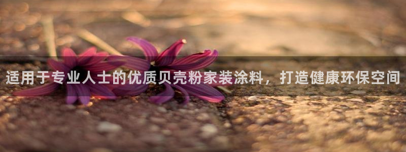 和记国际：适用于专业人士的优质贝壳粉家装涂料，打造健康环保空间