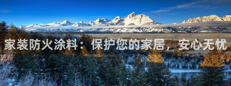 和记ag：家装防火涂料：保护您的家居，安心无忧