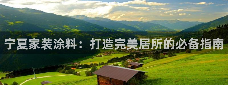 和记hj：宁夏家装涂料：打造完美居所的必备指南