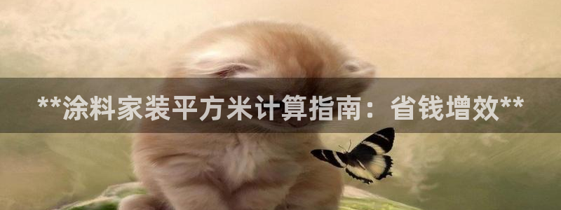 和记国际官网官网：**涂料家装平方米计算指南：省钱增效**