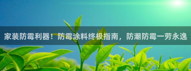和记AG：家装防霉利器！防霉涂料终极指南，防潮防霉一劳永逸