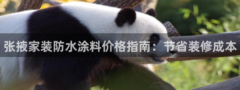 官方和记国际平台登录