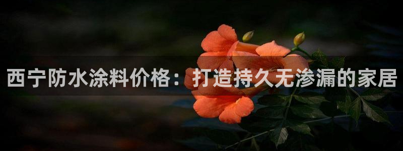 和记旗舰厅：西宁防水涂料价格：打造持久无渗漏的家居