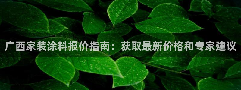和记国际听