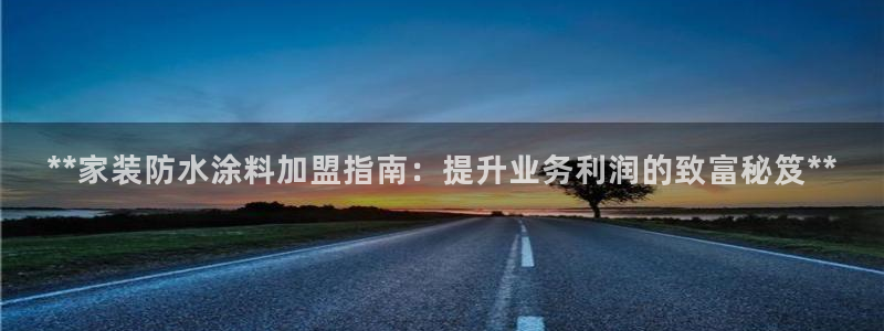 和记国际开户网站：**家装防水涂料加盟指南：提升业务利润的致富秘笈**