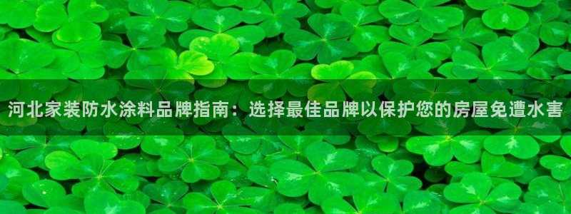 和记AG网站：河北家装防水涂料品牌指南：选择最佳品牌以保护您的房屋免遭水害