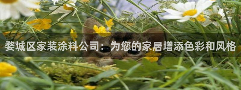 和记官方直营注册