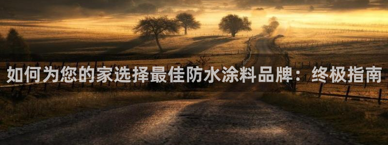 和记国际开户：如何为您的家选择最佳防水涂料品牌：终极指南