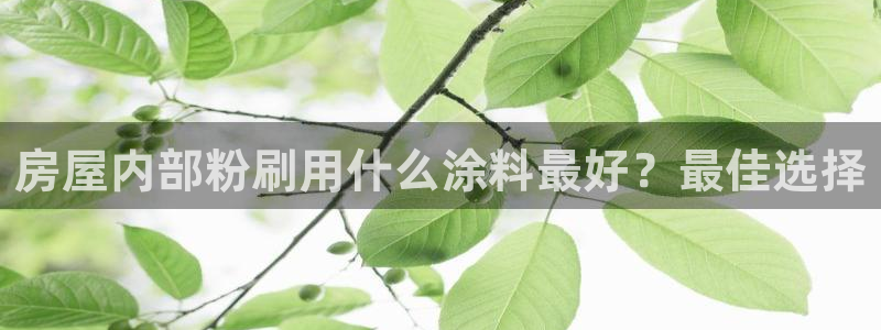 江苏和记餐饮有限公司：房屋内部粉刷用什么涂料最好？最佳选择
