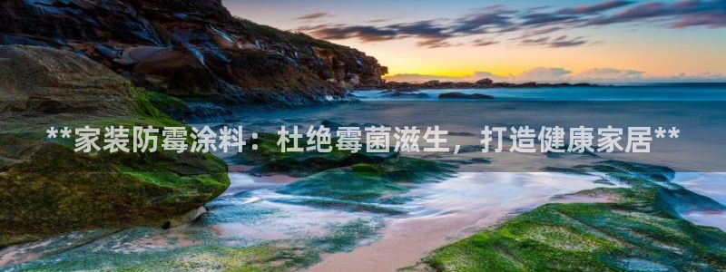 和记Ag：**家装防霉涂料：杜绝霉菌滋生，打造健康家居**