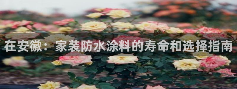 和记ag旗舰厅：在安徽：家装防水涂料的寿命和选择指南