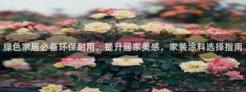 和记港口