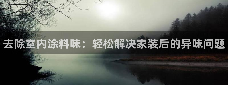和记官方网址：去除室内涂料味：轻松解决家装后的异味问题