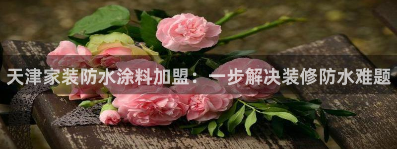 和记(福建)商贸有限公司招聘：天津家装防水涂料加盟：一步解决装修防水难题