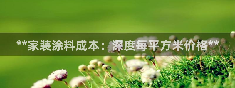 和记AG网站：**家装涂料成本：深度每平方米价格**