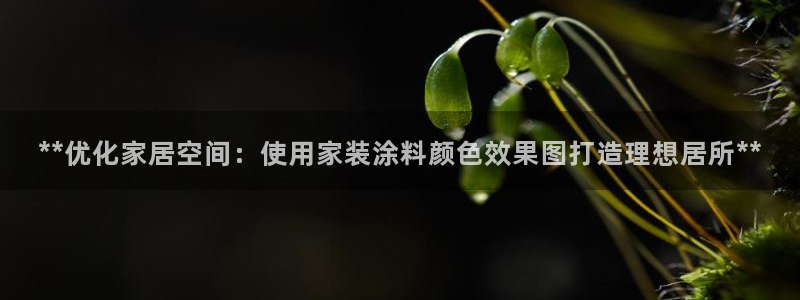 和记平台下载：**优化家居空间：使用家装涂料颜色效果图打造理想居所**