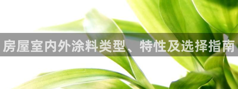 和记官网 公司：房屋室内外涂料类型、特性及选择指南