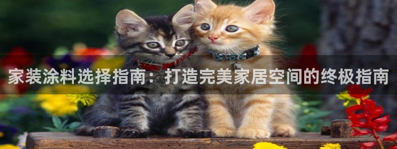 和记下载：家装涂料选择指南：打造完美家居空间的终极指南
