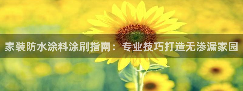 和记旗舰厅：家装防水涂料涂刷指南：专业技巧打造无渗漏家园