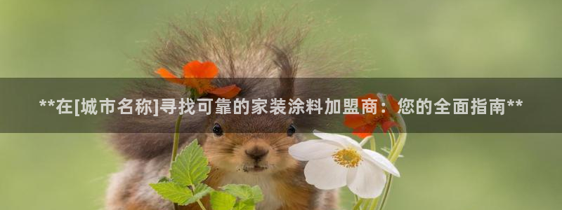 和记国际听：**在[城市名称]寻找可靠的家装涂料加盟商：您的全面指南**