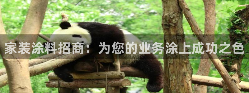 和记官网登录：家装涂料招商：为您的业务涂上成功之色