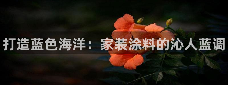 和记 首页：打造蓝色海洋：家装涂料的沁人蓝调
