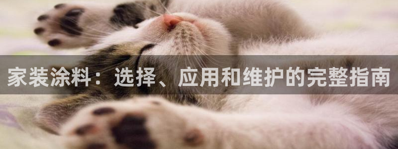 和记娱好网址：家装涂料：选择、应用和维护的完整指南