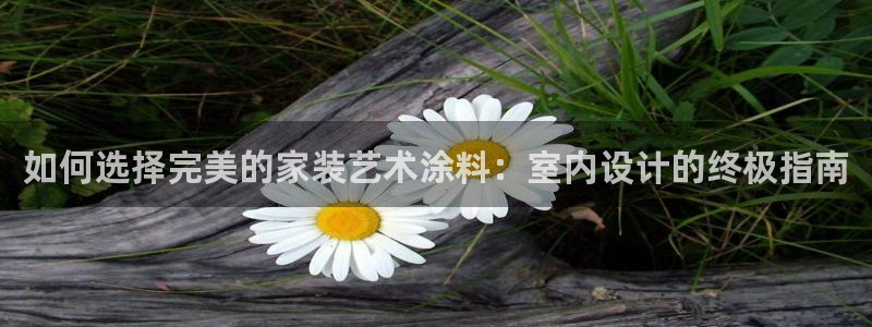 和记hj：如何选择完美的家装艺术涂料：室内设计的终极指南