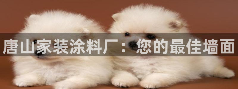 和记登陆：唐山家装涂料厂：您的最佳墙面
