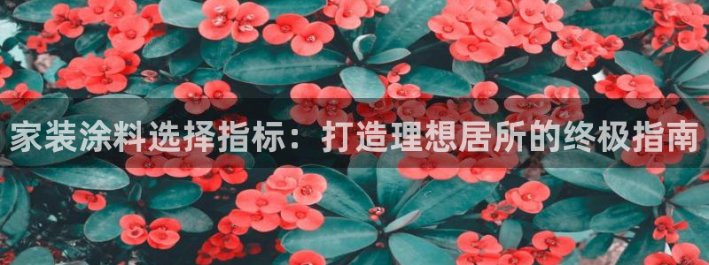 和记电业集团：家装涂料选择指标：打造理想居所的终极指南