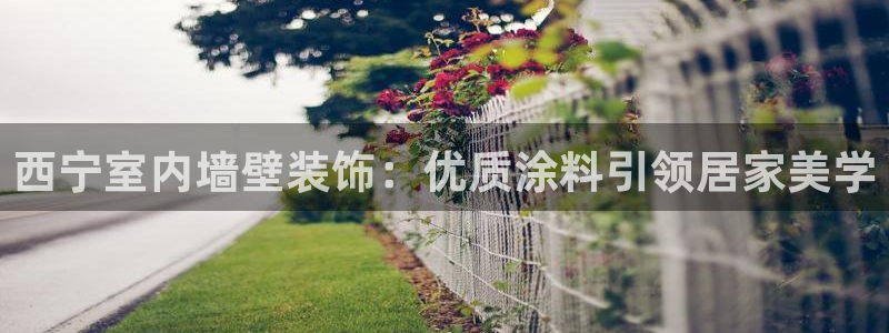 和记官方直营注册导航：西宁室内墙壁装饰：优质涂料引领居家美学