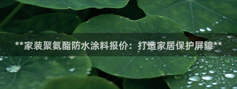 和记官方直营注册导航：**家装聚氨酯防水涂料报价：打造家居保护屏障**