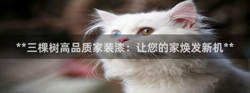 ag和记app：**三棵树高品质家装漆：让您的家焕发新机**